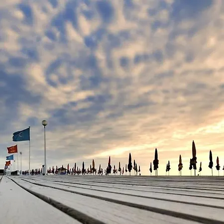 Birdie-deauville Deauville