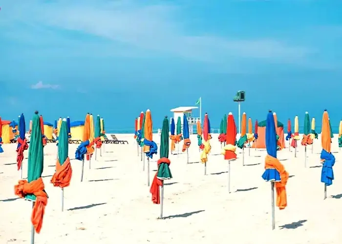 Birdie-deauville * Deauville