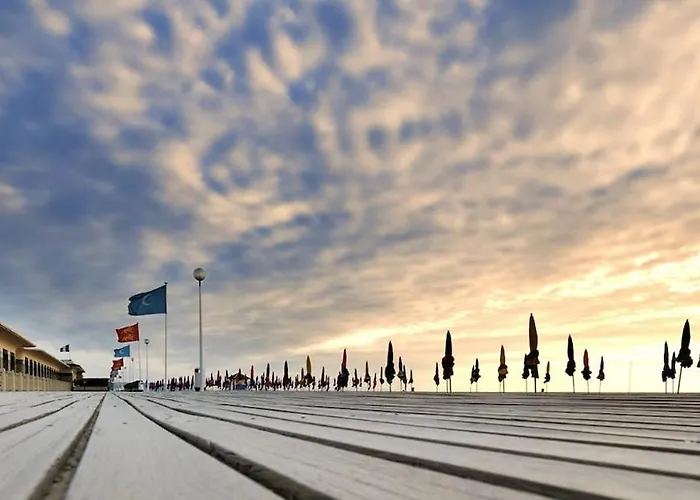 Birdie-deauville Deauville